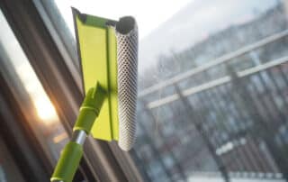 Do Dirty Windows House Allergens?