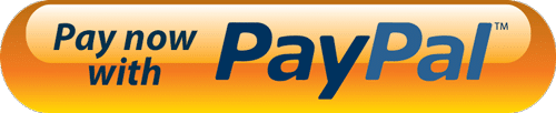paypal pay now icon